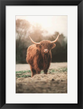 Framed Portrait of a Cow Print