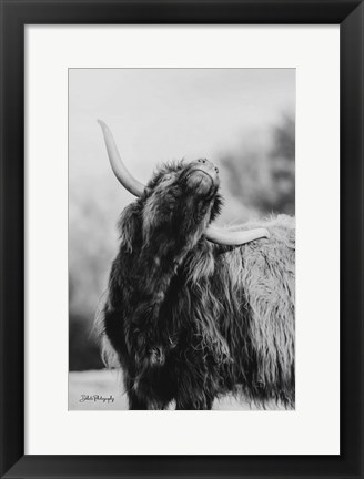 Framed Itchy Cow I Print