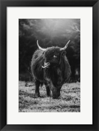 Framed Silly Cow I Print