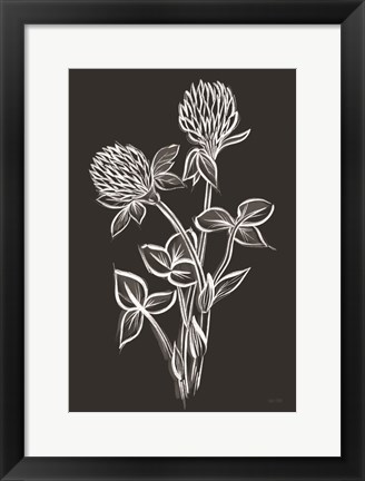 Framed Clover Sketch I Print