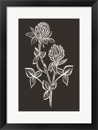 Framed Clover Sketch II Print