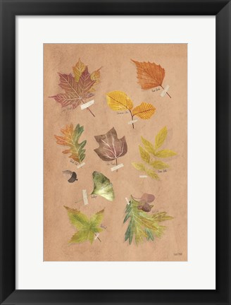 Framed Autumn Leaves Print