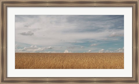 Framed Golden Summer Field Print