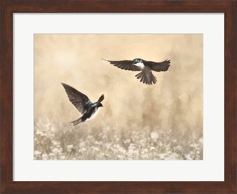 Framed Dance of the Swallows Print