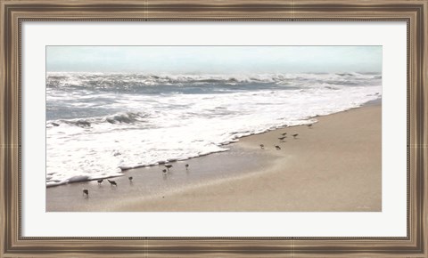 Framed Sandpipers Print