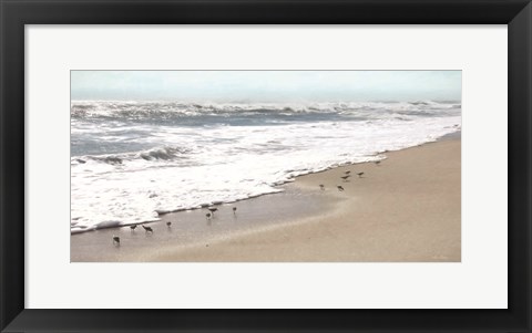 Framed Sandpipers Print