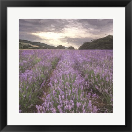 Framed Field of Lavender Print