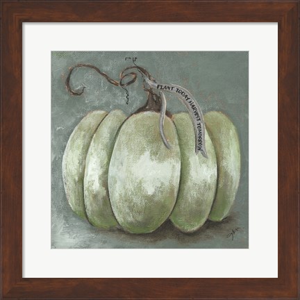 Framed Pumpkin Study Print