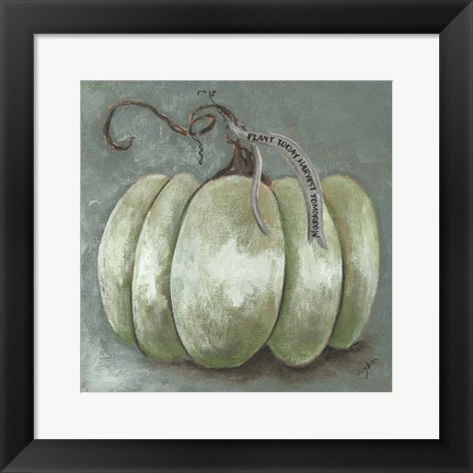 Framed Pumpkin Study Print