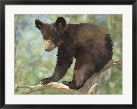 Framed Bear Cub in Tree 2 Print