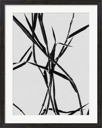 Framed Grass Detail White Print