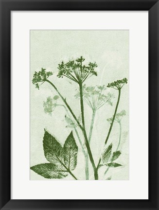 Framed Ground Elder Green Print