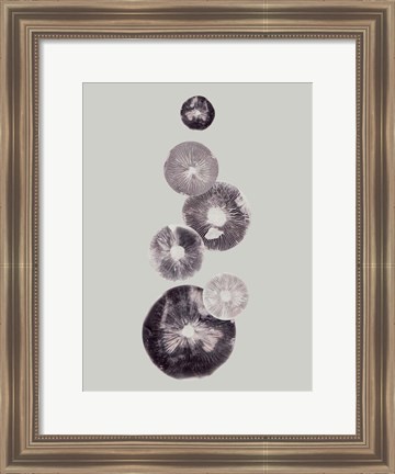 Framed Mushroom Light Grey Print
