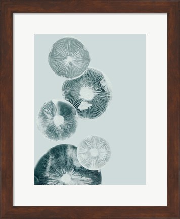 Framed Mushroom Light Teal Print