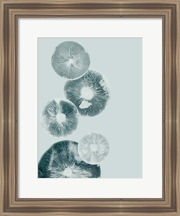 Framed Mushroom Light Teal Print