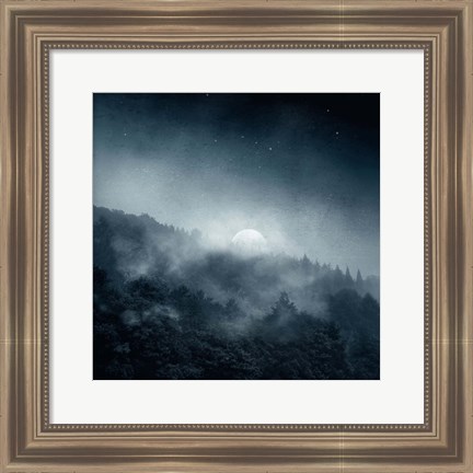 Framed Night Shadows Print