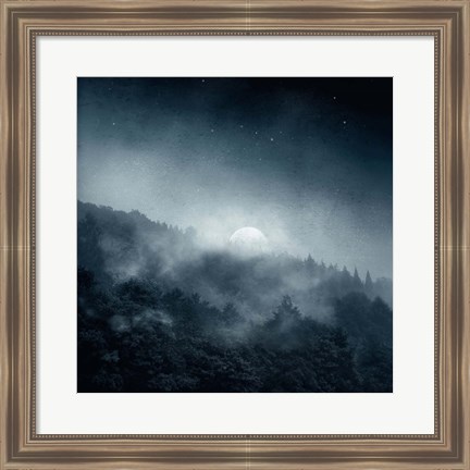 Framed Night Shadows Print