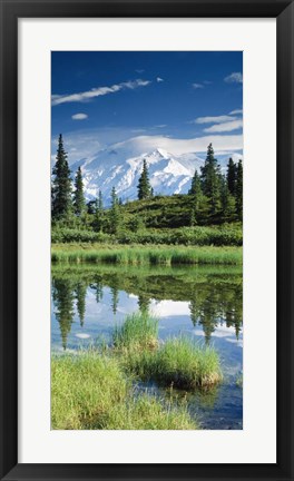 Framed Alaska, Mount McKinley Print