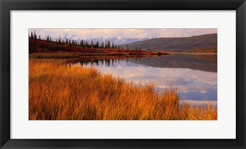 Framed Wonder Lake &amp; Alaska Range Denali National Park Print