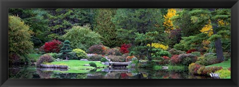 Framed Asticou Azalea Gardens Northwest Harbor Print