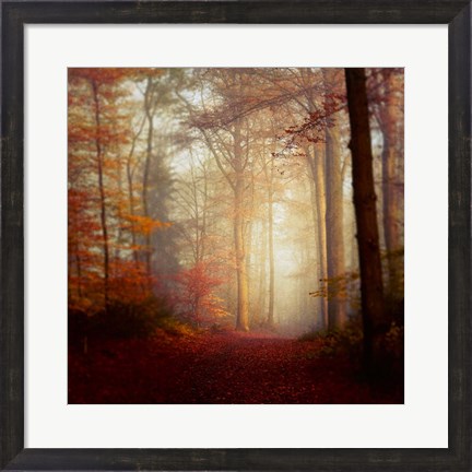 Framed Fall Hike Print