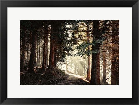 Framed Light Magic Print