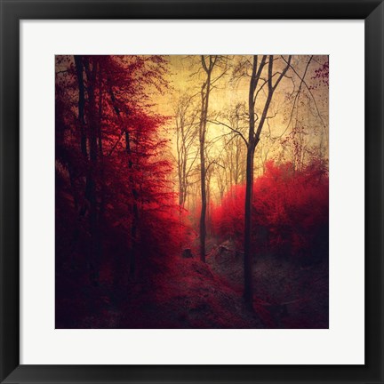 Framed Ruby Red Forest Print