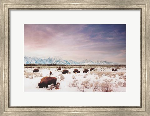 Framed Herds of The Tetons Print