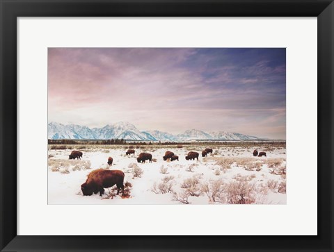 Framed Herds of The Tetons Print