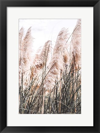 Framed Pampas Print