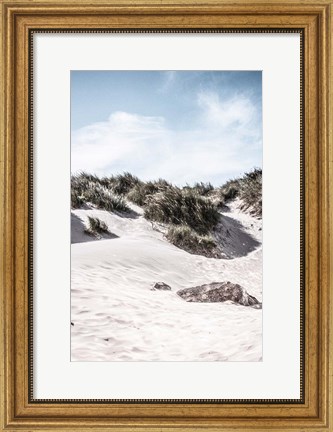 Framed Coastal IV Print