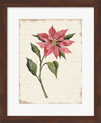 Framed Poinsettia Botanical I Print