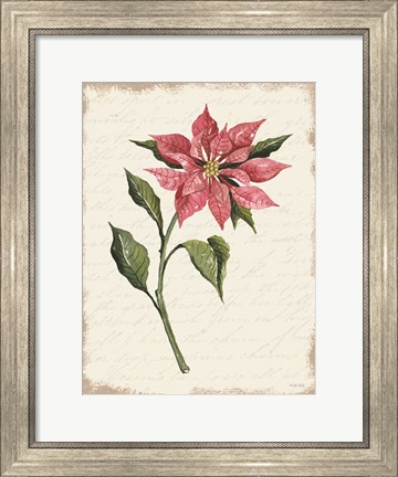 Framed Poinsettia Botanical I Print
