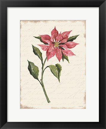 Framed Poinsettia Botanical I Print