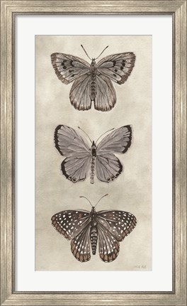 Framed Antique Butterflies I Print