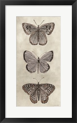 Framed Antique Butterflies I Print