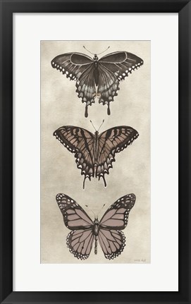 Framed Antique Butterflies II Print