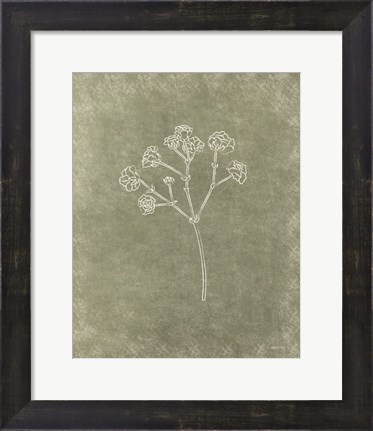 Framed Floral I Print