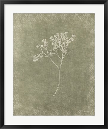 Framed Floral II Print