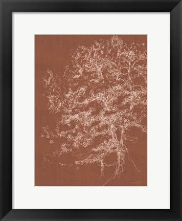 Framed Timber in the Woods Print