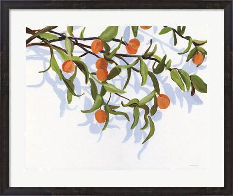 Framed Kumquats Print