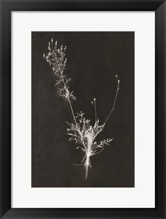 Framed You Can&#39;t X-ray Beauty Print