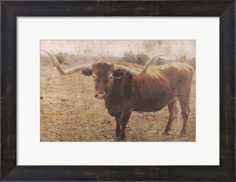 Framed Ranch Print