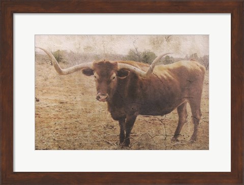 Framed Ranch Print