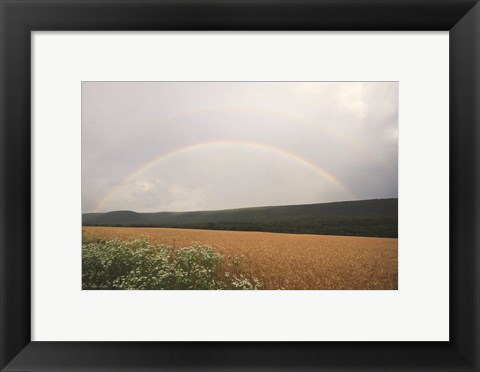 Framed Summer Rainbow Print