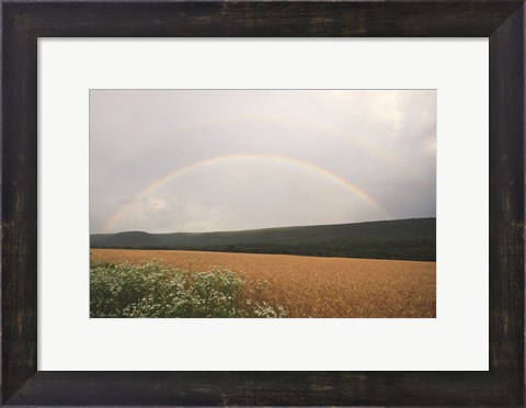 Framed Summer Rainbow Print