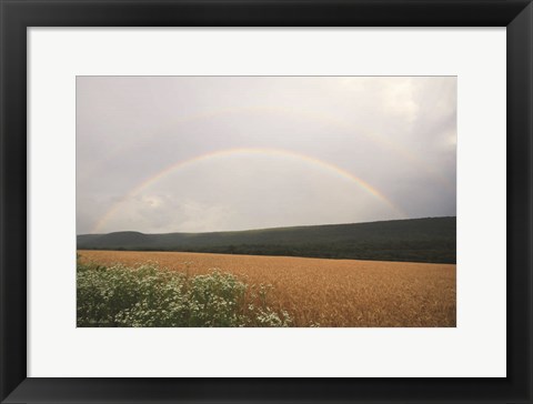 Framed Summer Rainbow Print