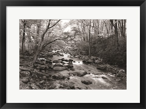 Framed Little Pigeon River I Print