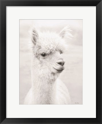 Framed Alpie the Alpaca Print