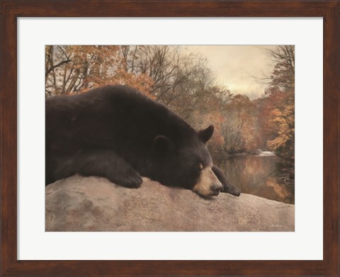 Framed Don&#39;t Poke the Bear Print